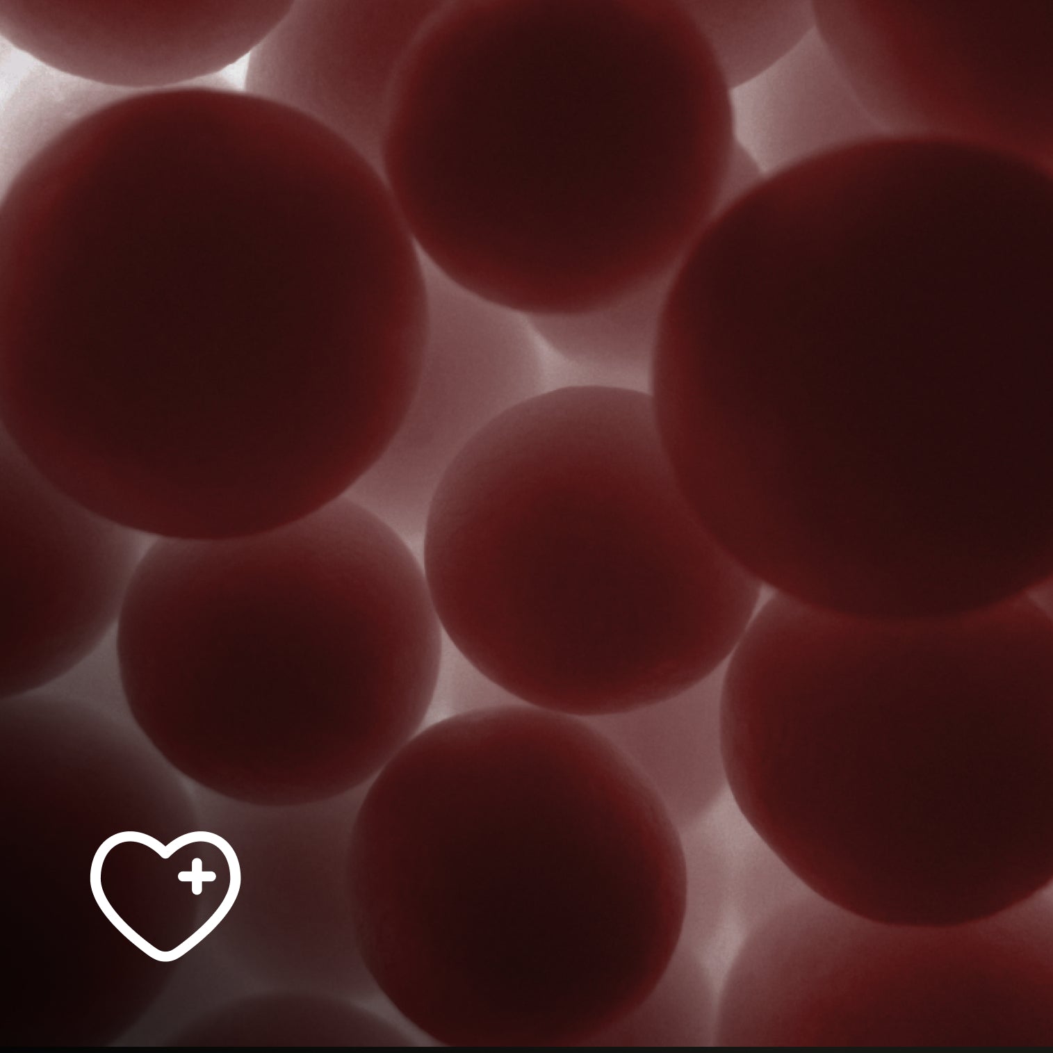 Heart Health