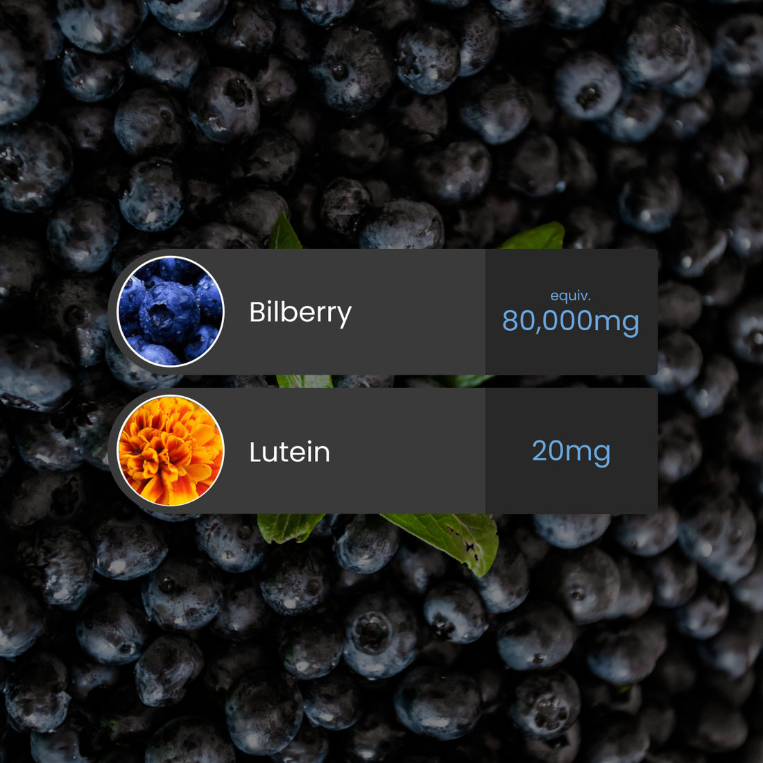Billberry + Lutein