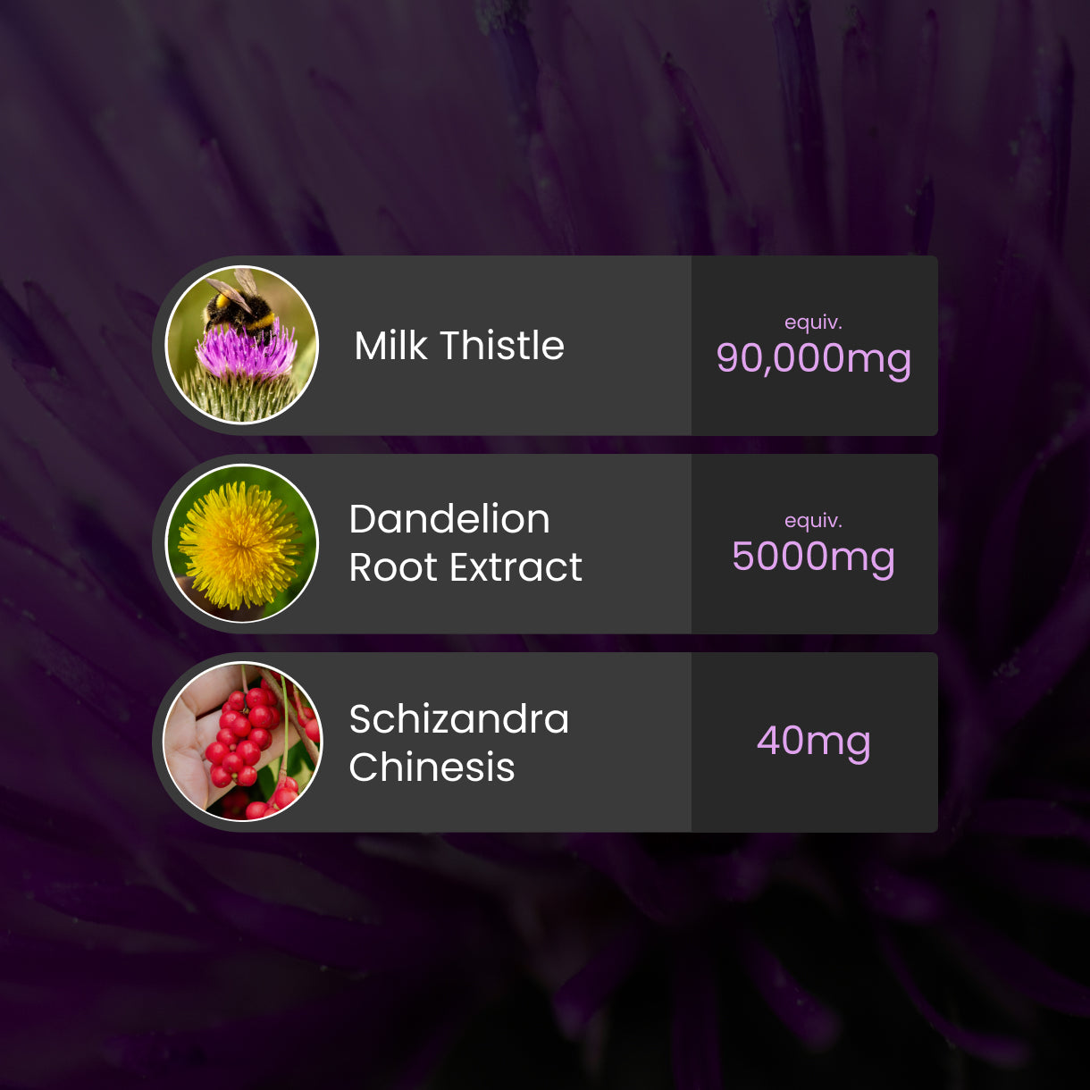 Milk Thistle